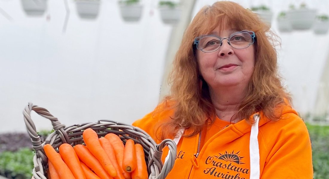 Jo iloinen värikin tuo hyvää mieltä: hurmaannu porkkanoista