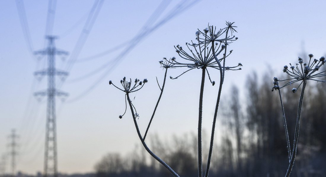 Miltä näyttää sähköistyvä Suomi?